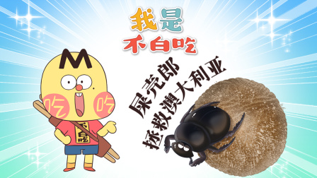 我是不白吃 第二季 287集