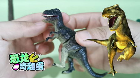 恐龙奇趣蛋 10集