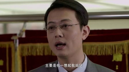 信访局长 16集