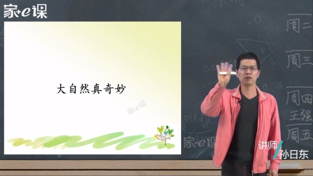 二年级下册语文同步作文 14集