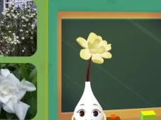 田小艾幼儿识字：花朵篇 14集