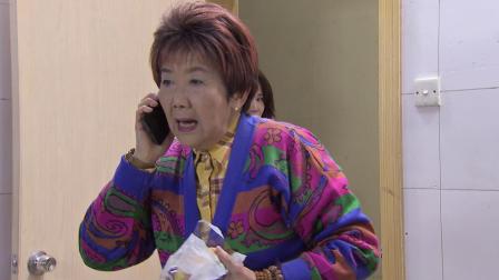 外来媳妇本地郎（2022第一部） 38集