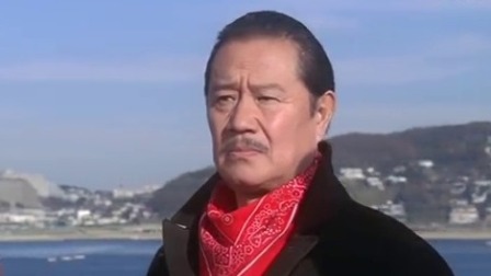 奥特曼剧场版全集 8集