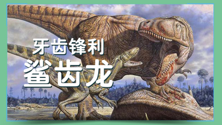 小小探险家：百科大讲堂 10集