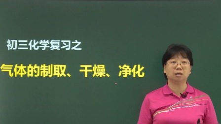九年级化学总复习下 13集