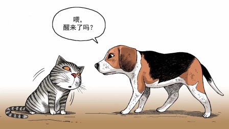 动物园真相 第2季 15集