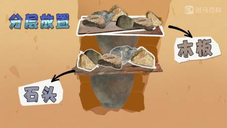 斑马百科mini：奇趣人文 24集