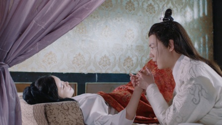 弃妃倾城 28集