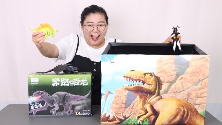 胖小唯的恐龙乐园 11集