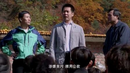 信访局长 12集