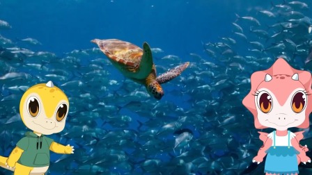 米拉和星仔：海洋探险小队 2集