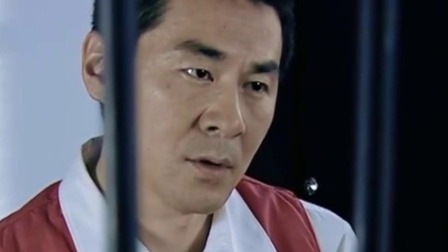 刑警使命 2集