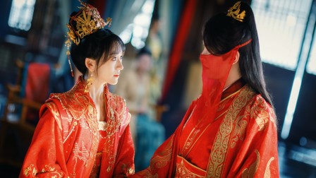 藏香记 11集