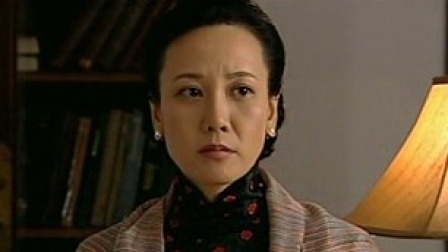 西安事变 29集