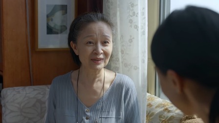 小敏家 DVD版 29集