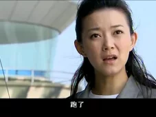 鹰隼大队 20集