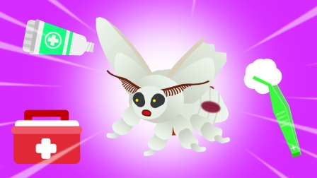 森林救护昆虫篇 8集