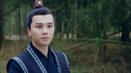 红颜殇 10集