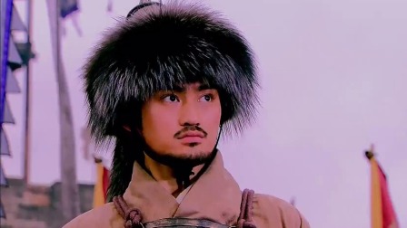 少年杨家将 43集