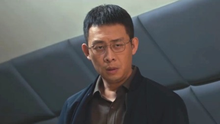 以法之名 33集