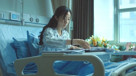巡回检察组 DVD版 32集