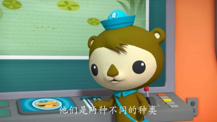 海底小纵队 第四季 11集