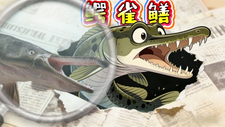 光年探索号：入侵动物战记 10集