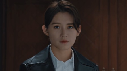 胜算 25集