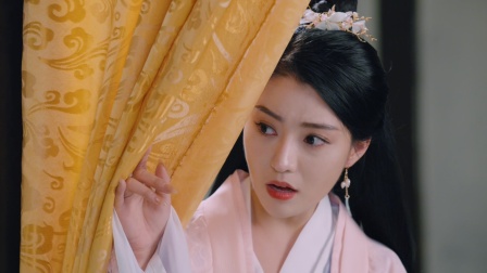 弃妃倾城 16集