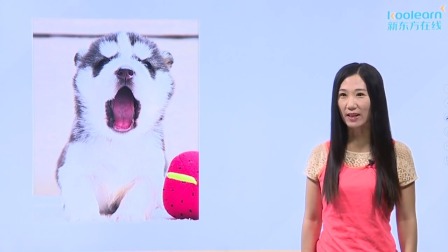 化学必修1 基础精讲班 14集