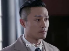 铁血军魂 14集