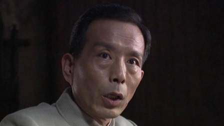 黎明前的暗战 24集