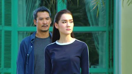 绿野心踪 DVD版 17集