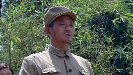 春华秋实 31集