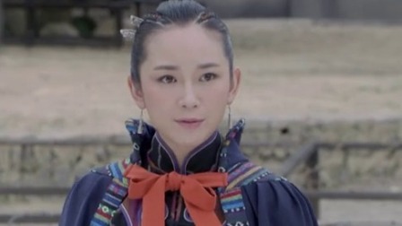 黑狐之风影 29集