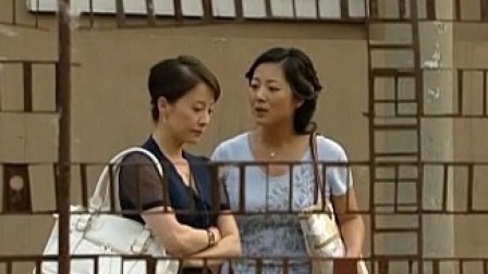 真情无限之养母生母 16集