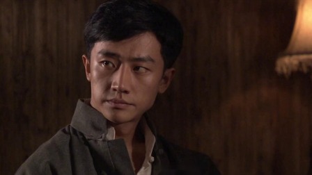 黎明前的暗战 19集