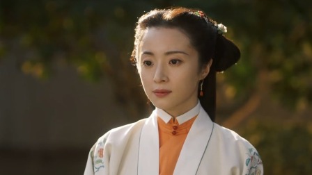 锦囊妙录 16集