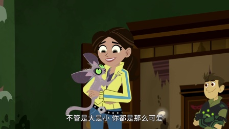 动物兄弟 第五季 英文版 17集