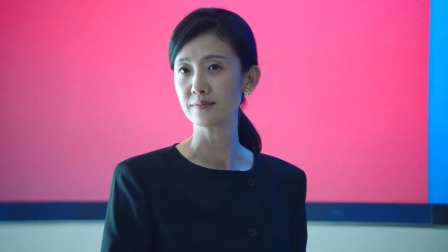 天罗地网 20集
