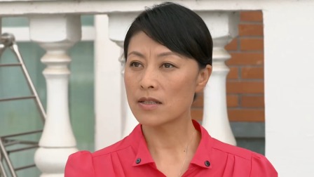 龙门村的故事 5集