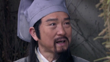 包青天之碧血丹心 31集