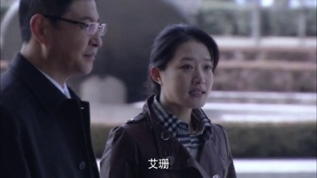 错放你的手 21集