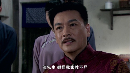 桃花劫 28集