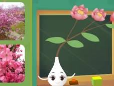 田小艾幼儿识字：花朵篇 1集