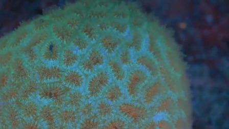 超级镜头：海面之下 8集