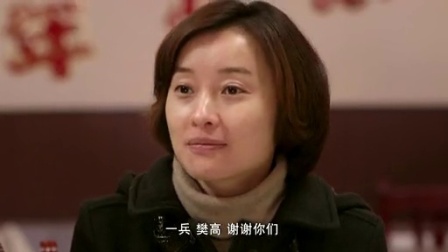 信访局长 30集