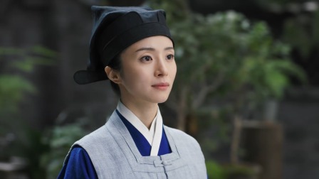 锦囊妙录 20集