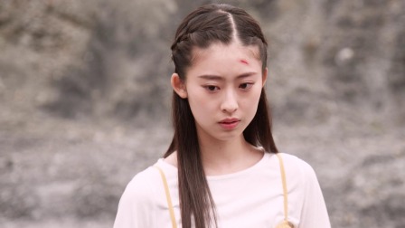 假面骑士利维斯 中配版 42集
