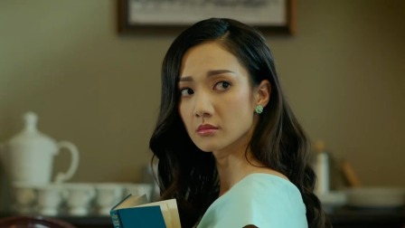 铁拳英雄 20集